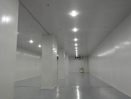 建設大型食品冷鏈物流冷藏庫費用一般是多少？