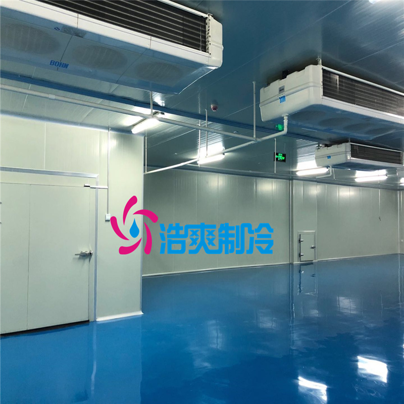 安裝醫(yī)藥專用存儲藥劑冷庫建設(shè)規(guī)范有哪些？