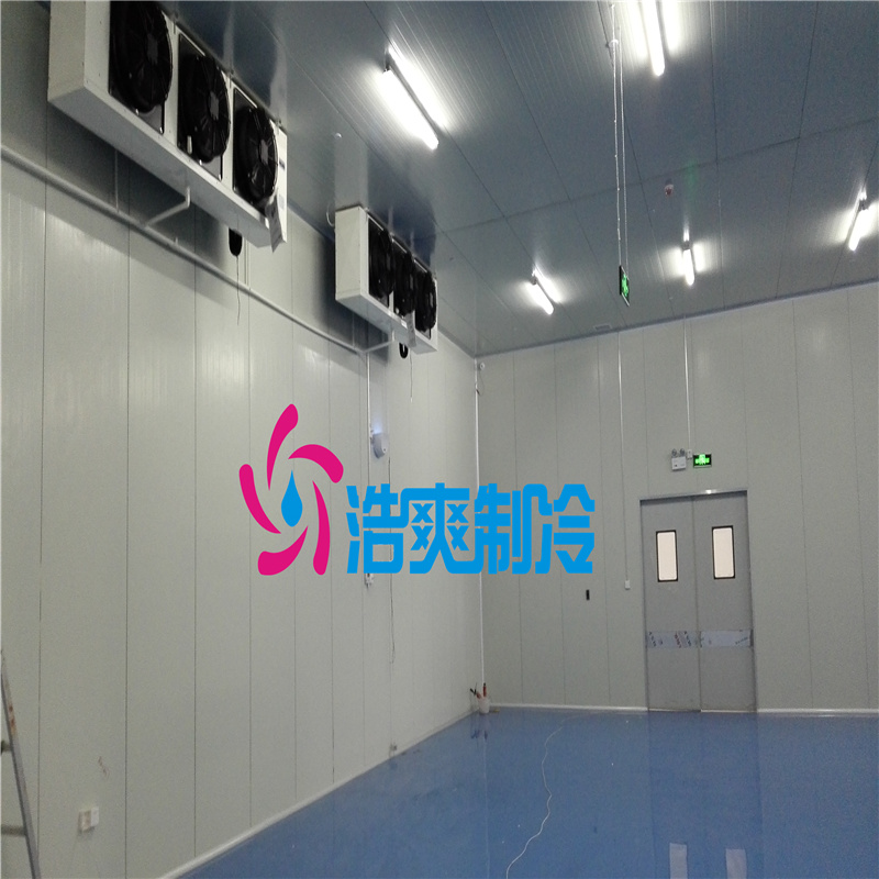 藥劑冷庫(kù)專業(yè)設(shè)計(jì)安裝 藥劑冷庫(kù)專業(yè)設(shè)計(jì)安裝