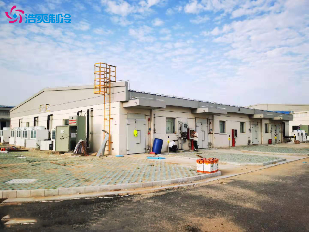 工業(yè)防爆冷庫 實驗室化工超低溫 冷藏庫建設(shè)安裝設(shè)計 安裝 工業(yè)防爆冷庫 實驗室化工超低溫 冷藏庫建設(shè)安裝設(shè)計 安裝