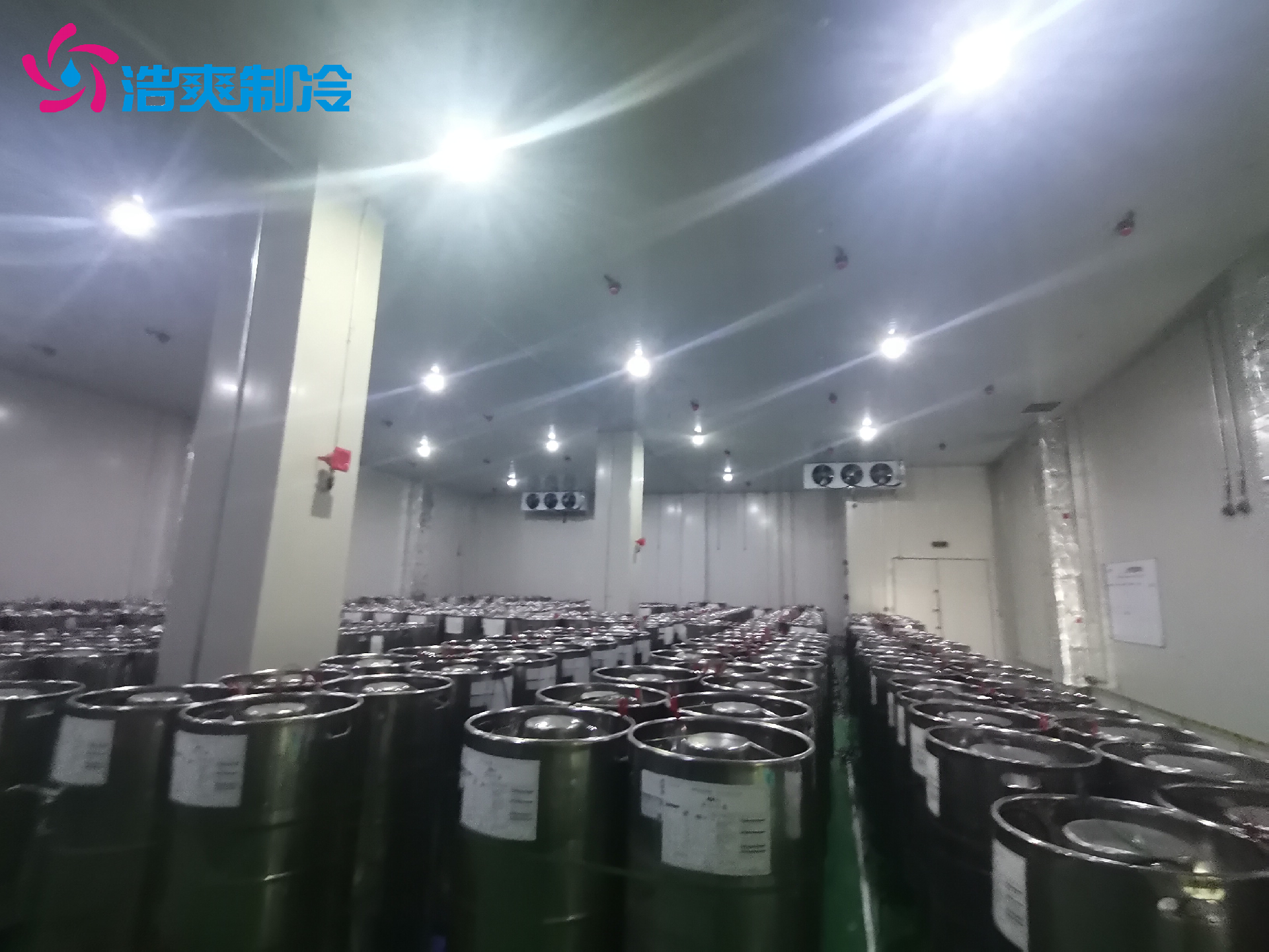 工業(yè)防爆冷庫 實驗室化工超低溫 冷藏庫建設(shè)安裝設(shè)計 安裝 工業(yè)防爆冷庫 實驗室化工超低溫 冷藏庫建設(shè)安裝設(shè)計 安裝