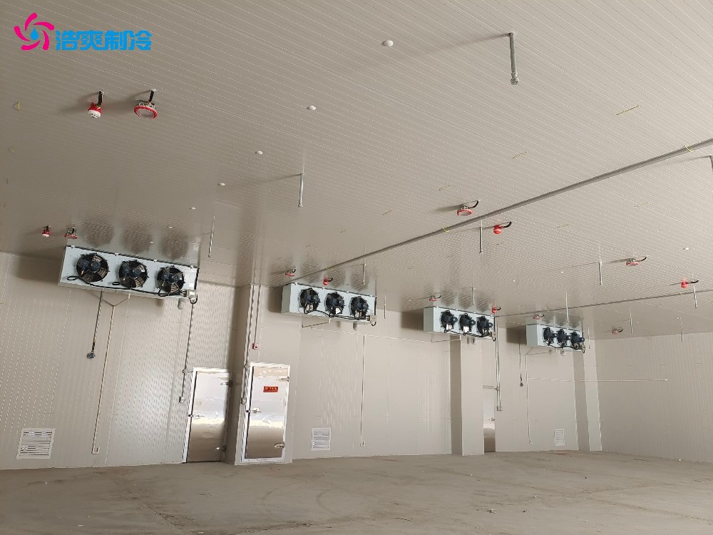 6000噸生鮮農(nóng)產(chǎn)品冷鏈物流冷庫造價費(fèi)用 水果蔬菜保鮮后補(bǔ)式冷庫設(shè)計