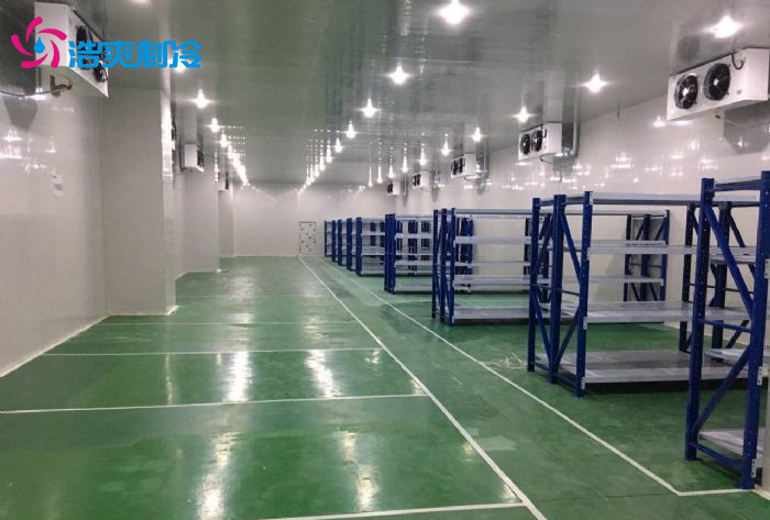 體外診斷試劑冷庫(kù) 醫(yī)療器械冷庫(kù)安裝要求 體外診斷試劑冷庫(kù) 醫(yī)療器械冷庫(kù)安裝要求