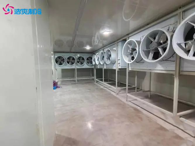 酒店建造一個(gè)冷凍庫需要多少錢