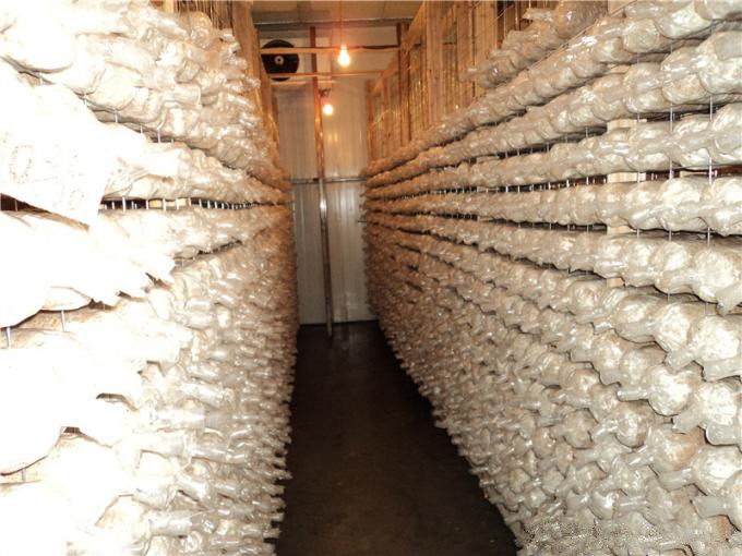 建一個(gè)100平方香菇冷庫(kù)全套要多少錢(qián)？