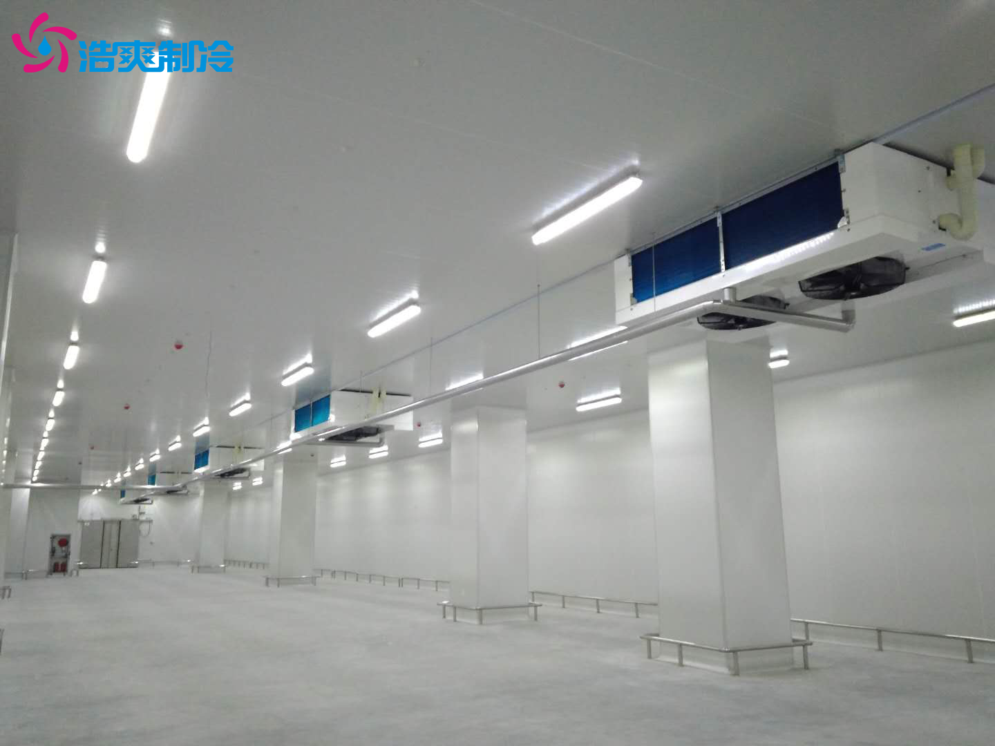 建造一個冷庫大概需要多少錢？