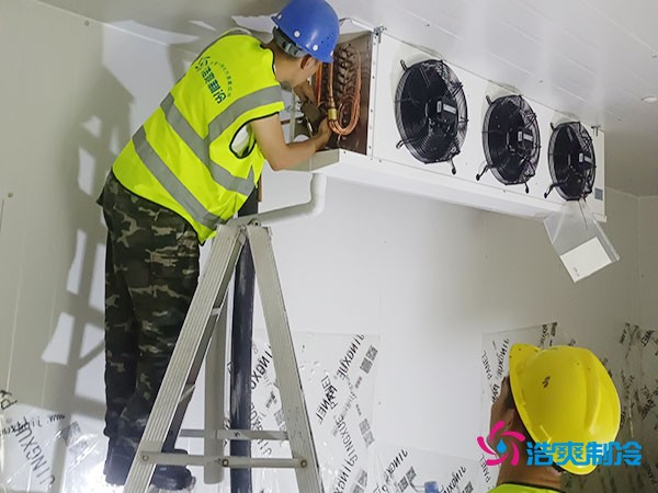 5000噸冷庫設(shè)計建造