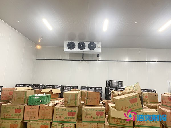 建設(shè)大型冷庫(kù)造價(jià)成本需要多少資金投入呢？