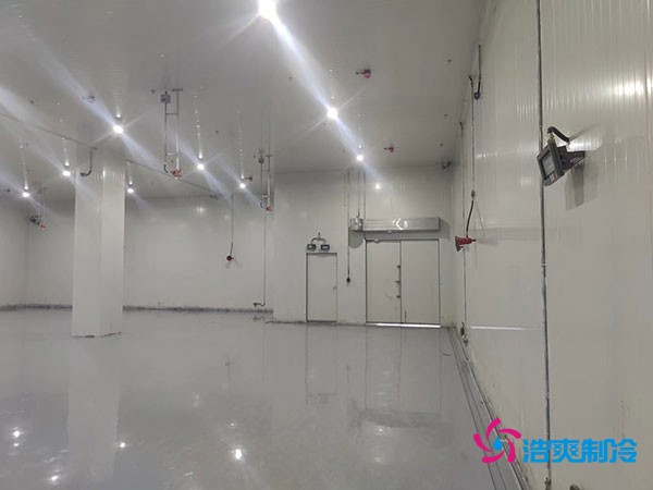 探秘特殊防爆冷庫的建造與成本