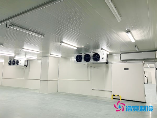 建造500平方米冷藏庫的造價(jià)及相關(guān)因素分析