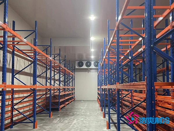 建中型冷庫要花多少錢？這些關(guān)鍵因素你必須知道-浩爽制冷