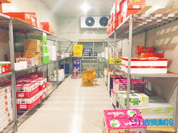 5噸水果需要多大冷庫(kù)？答案出乎意料！