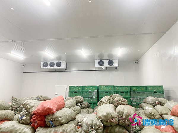 5噸水果需要多大冷庫(kù)？答案出乎意料！