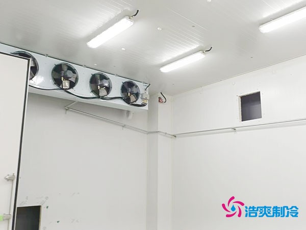 上海小型冷庫造價揭秘！2萬起真的靠譜嗎？