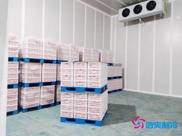 上海市青浦區(qū)水果保鮮冷庫安裝價格概覽