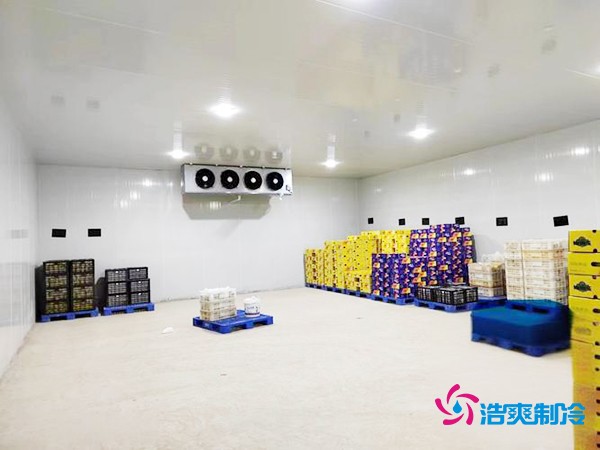 肉類冷庫造價(jià)