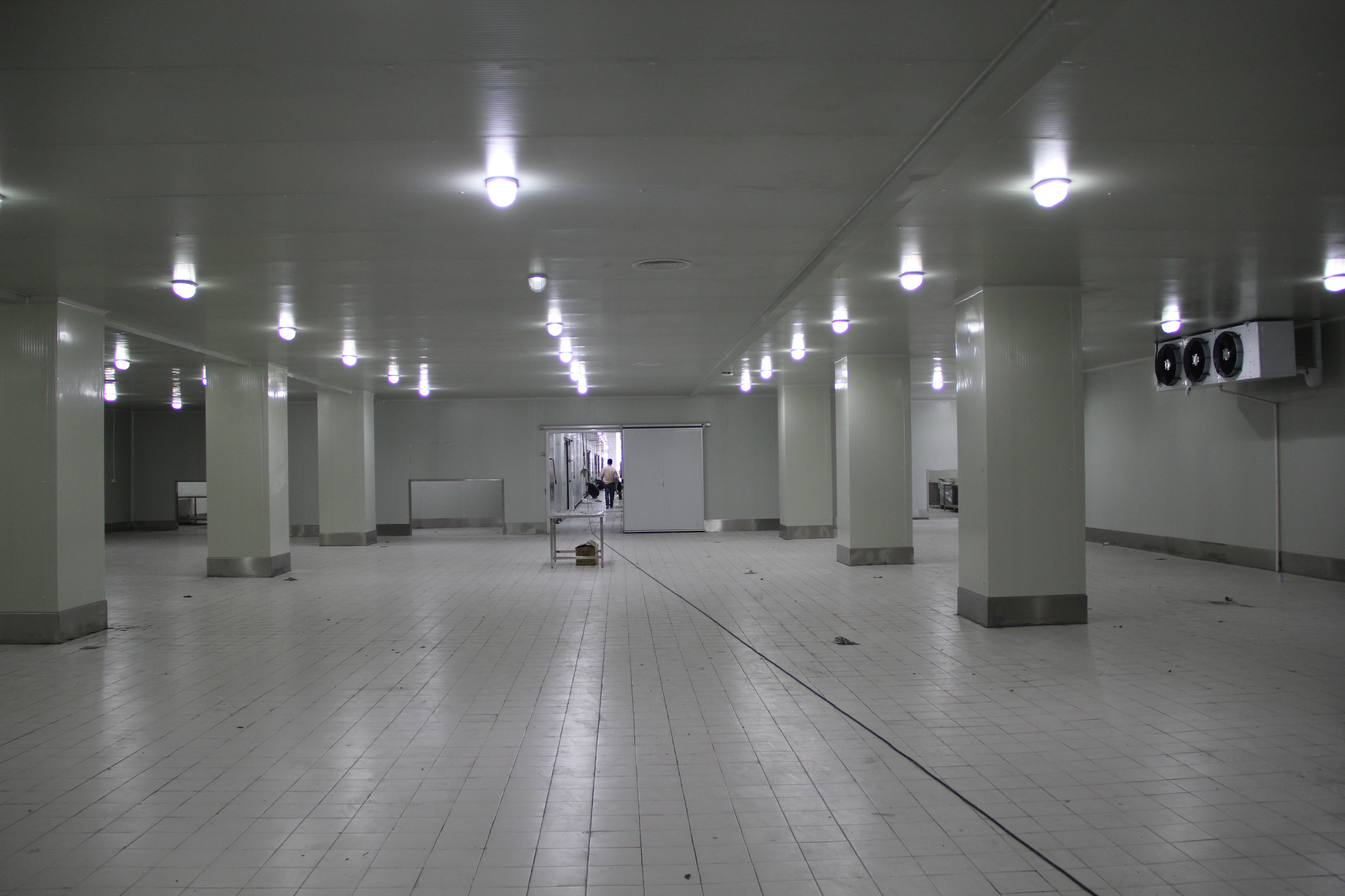 貯藏100噸貨物冷庫(kù)