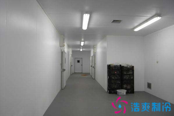 預(yù)建1000噸果蔬冷庫設(shè)計規(guī)劃，冷庫價格多少錢