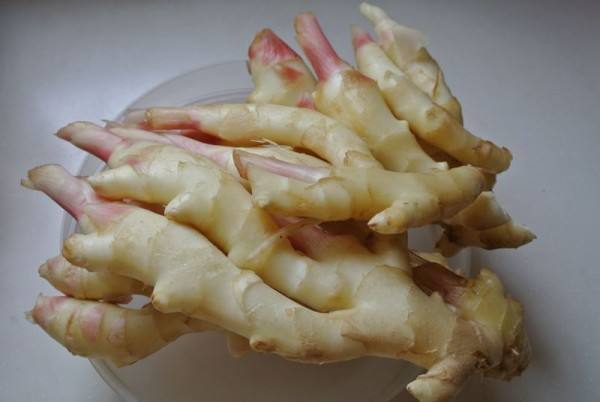 3000噸鮮姜冷庫(kù)前期規(guī)劃，冷庫(kù)造價(jià)預(yù)算多少