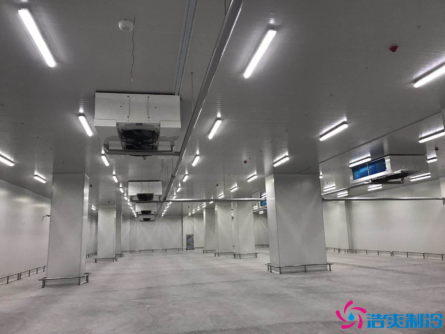 20000平米進(jìn)出口冷鏈物流冷庫（海鮮低溫倉庫）冷庫造價預(yù)算