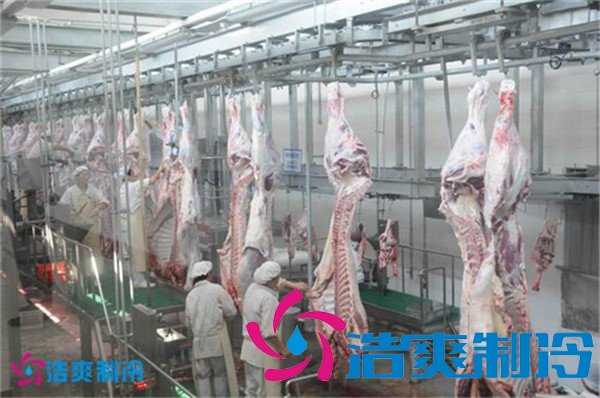 1000平米屠宰場(chǎng)冷庫(kù)(豬肉冷凍庫(kù))